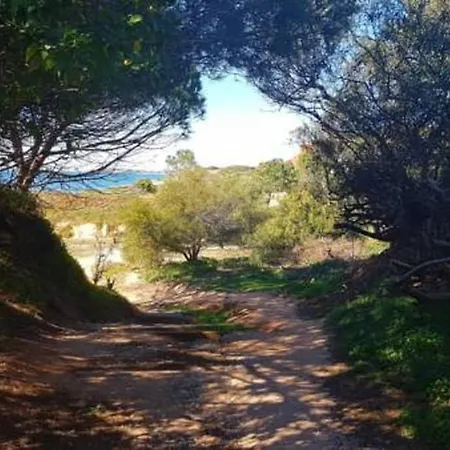 Marisol By Sunny Deluxe Willa *