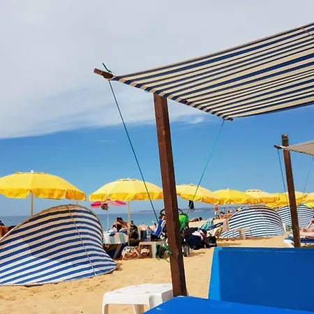 Marisol By Sunny Deluxe *